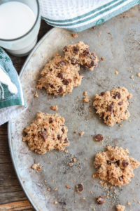 Organic Gluten Free Chocolate Chip Cookies using Almond Pulp