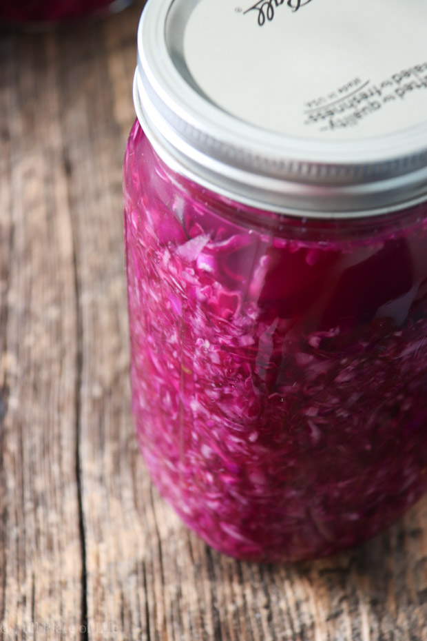 Organic Pink Sauerkraut Using Bubbies Brine Reclaim Optimal Health